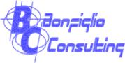 Bonfiglio Consulting