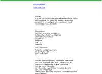 Invitrea - Laboratorio Del Vetro