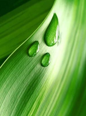 natura