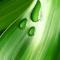 natura