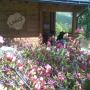 chalet a primavera