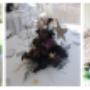 Allestimento black