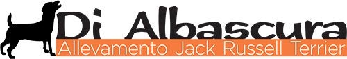 Allevamento di Jack Russell Terrier Di Albascura