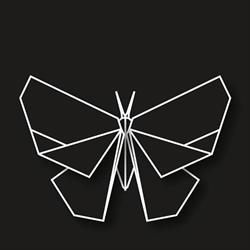 Metamorfosi Parrucchieri