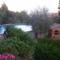 Bed & Breakfast: giardino (garden)