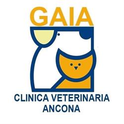 Clinica Veterinaria Gaia