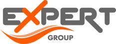 expert group