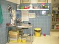 Sterilizzazione cae e gatto