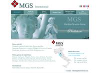 M.g.s. International SRL