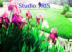Studio Iris - Centro Di Formazione e Mediazione