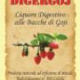 Caricato da visitatore il 10/02/2017 - Etichetta Digergoj (Liquore digestivo alle bacche di goji)
