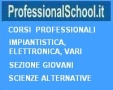 Professional School