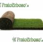 Caricato da visitatore il 23/02/2017 - Rotolo prato