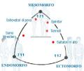 Valutazione antropometrica e schema alimentare ATLETI