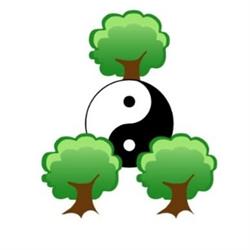 Asimtc Xinglinfu