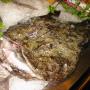 CODA DI ROSPO o RANA PESCATRICE