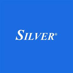Silver S.n.c.