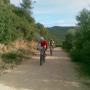 mountain bike