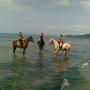 passeggiate a cavallo