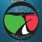 Swimxwin SRL