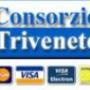 logo consorzio triveneto