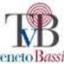 logo trivenetobassilichi