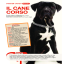 ARTICOLO DELL'ALLEVAMENTO PUBBLICATO NEL GIORNALE PET &amp; THE CITY