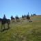 Trekking sul Pratomagno