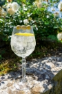 Aperitivo