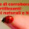 il nostro web