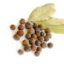 Pimento Intero, Pimento Polvere