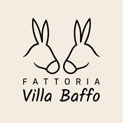Azienda Agricola Fattoria Villa Baffo Di Paoletti Antonella Maria
