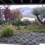Azienda