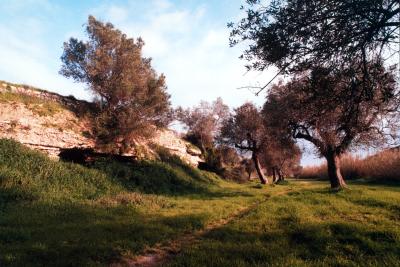 foto-campagna-salve