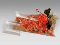 Scatole trasparenti "Busta" mm.60x60x22