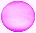 TULLE FUXIA PER CONFETTI IN ORGANZA VELI ROTONDI diametro cm.23 - Imballo da pz.500 Sconto 10%
