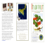 Italicum.it  BROCHURE DEUTSCHLAND
