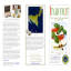Italicum.it  BROCHURE ENGLISH