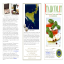 Italicum.it  BROCHURE ITALY