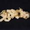 pappardelle