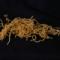 spaghetti alla chitarra