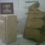 campione NATURMAS