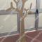albero-in-forex