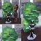 espositore-albero