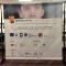 espositore-maxi-display