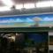 pannello-forex-5mm