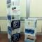 totem-in-forex