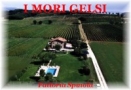 Agriturismo i Mori Gelsi - Fattoria Spinola