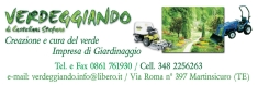 Verdeggiando Creazione E Cura Del Verde