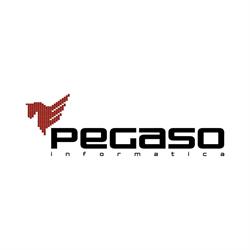Pegaso Informatica SRL